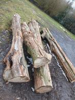 Haardhout brandhout stammen rondhout, Tuin en Terras, Haardhout, 6 m³ of meer, Ophalen of Verzenden, Eikenhout, Stammen