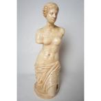 # Venus van Milo buste van gips. Groot formaat 60 cm, Antiek en Kunst, Kunst | Beelden en Houtsnijwerken, Ophalen