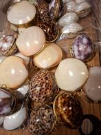 Schelpendoosje shellbox schelpen doosje bijoux ringendoosje, J, Nieuw, Ophalen of Verzenden, J