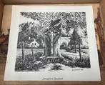 Zwart/ Wit Tekeningen. Meeste van Limburgse plaatsen nieuw, Ophalen of Verzenden