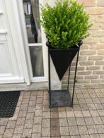 Smeedijzeren plantenbak met gratis plant erin, Ophalen, Rond, Minder dan 60 cm