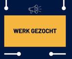 Werk gezocht omgeving Den Haag!, Vacatures, Rijbewijs B, Detailhandel