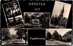Groeten uit Vogelenzang (1957), Verzenden, 1940 tot 1960, Gelopen, Noord-Holland