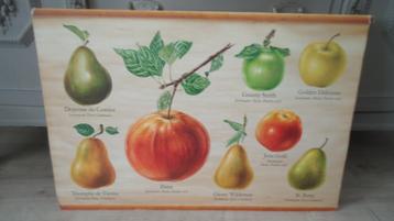 afbeelding plaat fruit appel peren