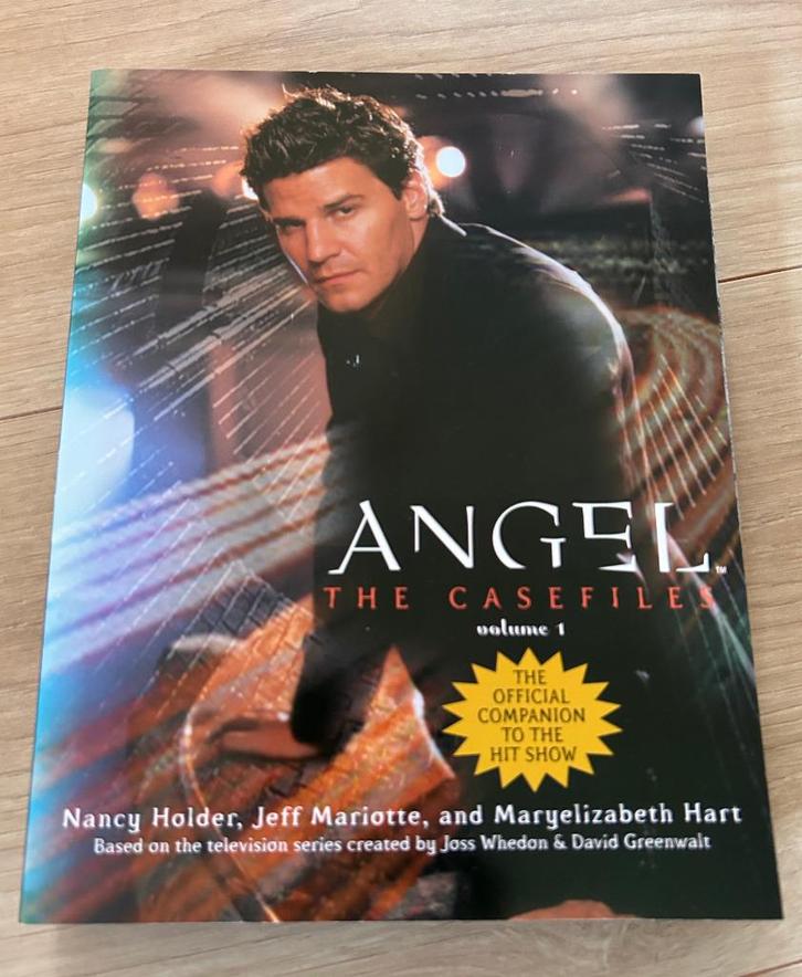 Angel: The Casefiles. Off. companion (spin-off serie Buffy), Boeken, Film, Tv en Media, Zo goed als nieuw, Tv-serie, Verzenden