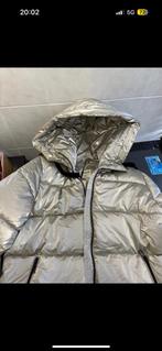 Zilveren Winterjas Madness - Maat M nieuw !, Ophalen of Verzenden, Nieuw, Maat 38/40 (M), Overige kleuren