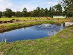 vijverfontein/ vijverbeluchter voor een gezondere vijver, Tuin en Terras, Vijver-toebehoren, Ophalen of Verzenden, Nieuw, Vijverpomp