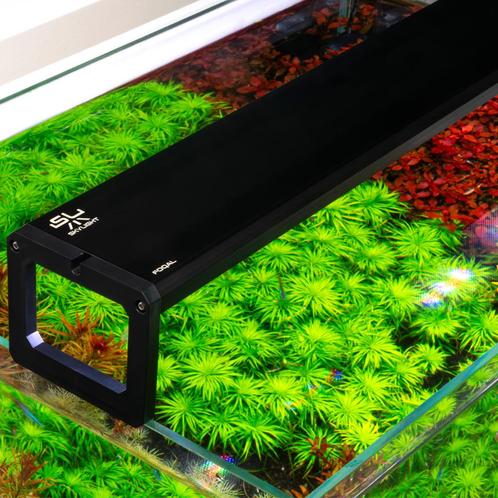 SKYLIGHT FOQAL FL.60 H RGB led-aquariumlampen, Dieren en Toebehoren, Vissen | Aquaria en Toebehoren, Nieuw, Verlichting of Verwarming