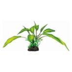 sf art plant 25cm cryptocoryne €7,15, Dieren en Toebehoren, Vissen | Aquaria en Toebehoren, Ophalen of Verzenden, Nieuw, Plant(en), Steen of Hout
