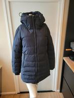 Zgan mooie zwarte Wellensteyn dames jas maat XS, Kleding | Dames, Jassen | Winter, Wellensteyn, Zwart, Ophalen of Verzenden, Zo goed als nieuw