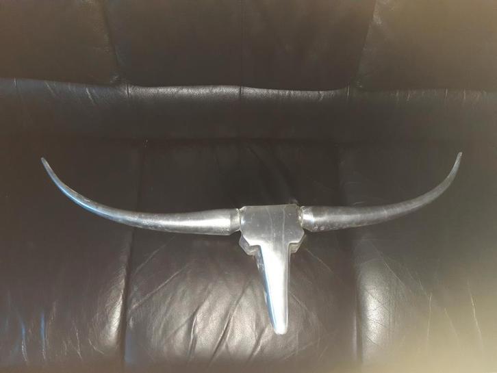 Stierenkop, Huis en Inrichting, Woonaccessoires | Wanddecoraties, Ophalen of Verzenden