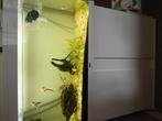 Aqarium 200 liter ciano, Ophalen of Verzenden, Zo goed als nieuw, Leeg aquarium