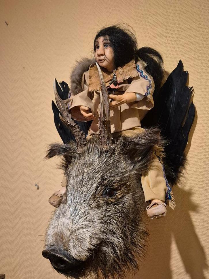 Opgezet, Rariteit, Unieke Wolpertinger, Fabeldier, erg mooi., Verzamelen, Dierenverzamelingen, Gebruikt, Opgezet dier, Wild dier