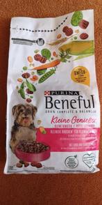 Purina hondenvoer (*2) & snacks (*2), NIEUW!, Dieren en Toebehoren, Ophalen of Verzenden, Hond