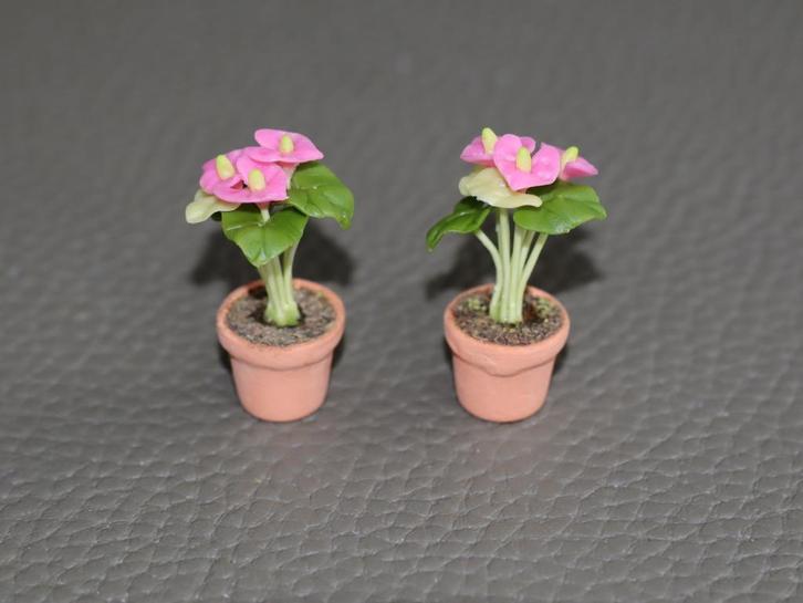 Mooie anthuriums met rose bloemen., Verzamelen, Poppenhuizen en Toebehoren, Nieuw, Gebruiksvoorwerp, Ophalen of Verzenden