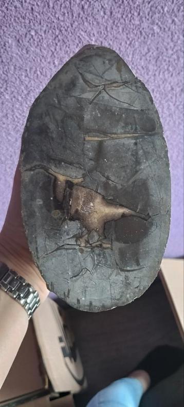 Septarie  beschikbaar voor biedingen