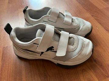 Gymschoenen puma maat 35 beschikbaar voor biedingen