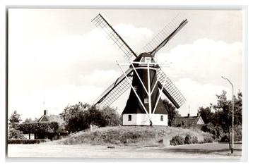 Rolde, Korenmolen beschikbaar voor biedingen