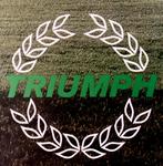 TRIUMPH - 1981 van Triumph Motor Company Autofolder, Honda, Zo goed als nieuw, Verzenden