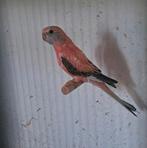 Te koop twee opaline Bourke parkieten., Dieren en Toebehoren, Geslacht onbekend, Parkiet