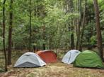 Tentkamperen Bos Natuur Rust Vakantie Overnachten Wandelen, Vakantie