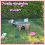 Konijnen en Cavia Pension, vakantie opvang, Ophalen, Nieuw, Overige typen