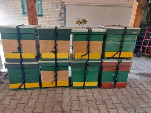 Bijenkasten 8 stuks bijenkast demonstratiekast, Dieren en Toebehoren, Insecten en Spinnen, Bijen