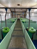 Hokinrichting voor biggen [749], Boekhorst Trading, Info@boekhorsttrading.com, Singel 16, Horssen