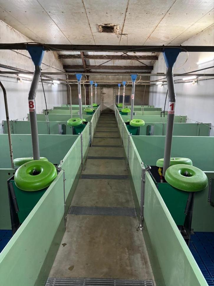 Hokinrichting voor biggen [749], Dieren en Toebehoren, Stalling en Weidegang