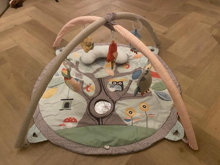 Baby gym / Activity Gym, Kinderen en Baby's, Speelgoed | Babyspeelgoed, Gebruikt, Babygym, Ophalen