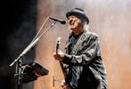 Te koop: Golden Cirkle ticket concert Neil Young Groningen, Tickets en Kaartjes, Concerten | Pop, Eén persoon, Juli