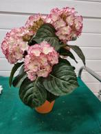kunstplant hortensia 5 bollen roze, Huis en Inrichting, Ophalen of Verzenden