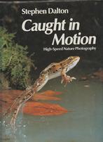Caught in motion; Stephen Dalton; high-speed photography, Gelezen, Fotografen, Verzenden