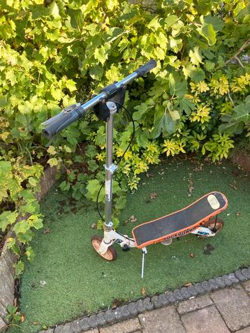 Vintage Rockboard Step met Rem beschikbaar voor biedingen