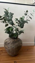 4x (kunst) tak eucalyptus, Ophalen of Verzenden, Nieuw