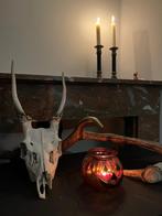 Herten schedel met gewei, Ophalen, Gebruikt, Hert, Schedel