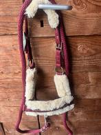 Gloed nieuw equestrian stockholm halster maat pony te koop, Ophalen of Verzenden