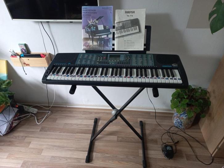 Keyboard Farfisa TK73, Muziek en Instrumenten, Keyboards, Zo goed als nieuw, 61 toetsen, Overige merken, Met standaard, Ophalen