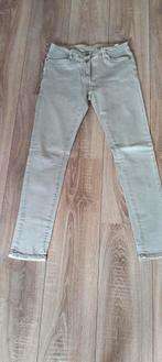 licht groene dames broek mt L zgan bevat veel stretch, Overige kleuren, Maat 42/44 (L), Ophalen of Verzenden, Lang
