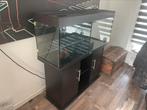 Aquarium juwel rio 240 liter, Gebruikt, Ophalen, Leeg aquarium