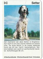 kwartetkaart Setter, Ophalen of Verzenden, Gebruikt, Wild dier, Beeldje of Figuurtje