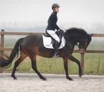 ***Allround Sportpony ***, Dieren en Toebehoren, Merrie, 3 tot 6 jaar