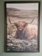 Groot canvas Schotse hooglander met lijst h160 b110, Schilderij, 125 cm of meer, Zo goed als nieuw, Ophalen