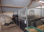 Paarden box 4 x 2.5, Dieren en Toebehoren, Stalling en Weidegang, Toebehoren, 1 paard of pony