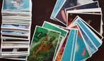 Freek Vonk oceaandieren stickers - Exp. Oceaanplaatjes AHs, Albert Heijn, Ophalen