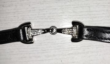 Riem met 3 paarden bitjes, met glittersteentjes (nieuw!) beschikbaar voor biedingen