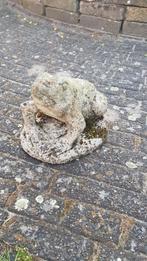 Betonnen kikker/pad beeld 🐸, Tuin en Terras, Tuinbeelden, Ophalen, Zo goed als nieuw
