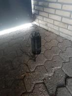 Insecten lamp, Overige soorten