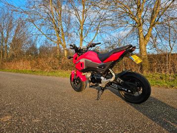 Honda MSX 125 grom 172 cc bigbore - zeer uniek! In top staat beschikbaar voor biedingen