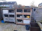 Konijnenhokken, Dieren en Toebehoren, 110 cm of meer, Ophalen of Verzenden, Zo goed als nieuw, 90 cm of meer
